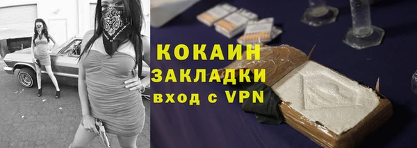 мдпв Майский