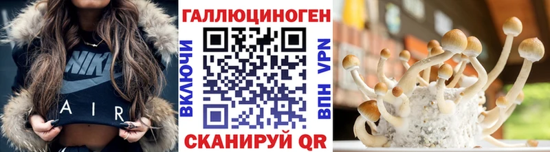 Галлюциногенные грибы Psilocybine cubensis  MEGA ССЫЛКА  Каменка  как найти закладки 