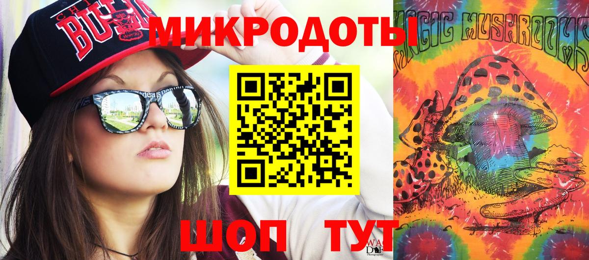 Галлюциногенные грибы Psilocybe  Вход с VPN  Каменка 