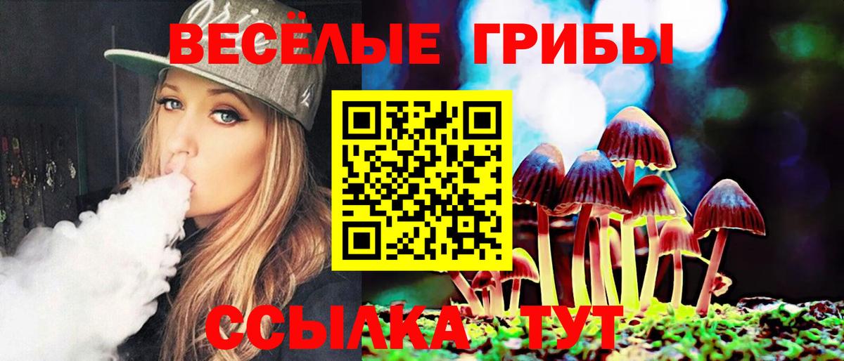 Псилоцибиновые грибы прущие грибы Каменка